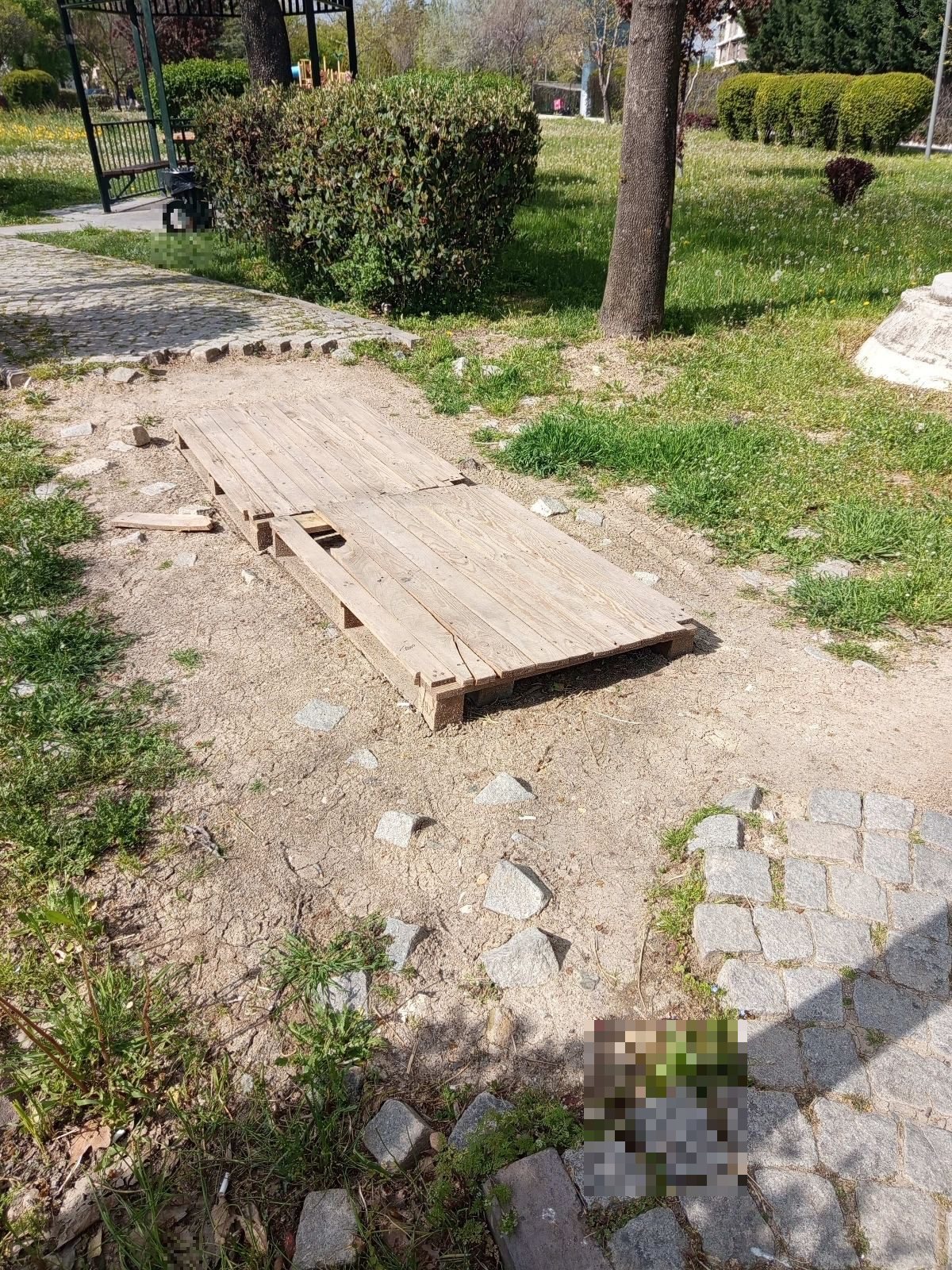 Paletli Çamur Köprüsü - görsel 2