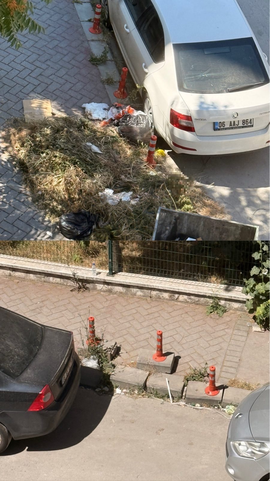 Aşırı pis - görsel 2