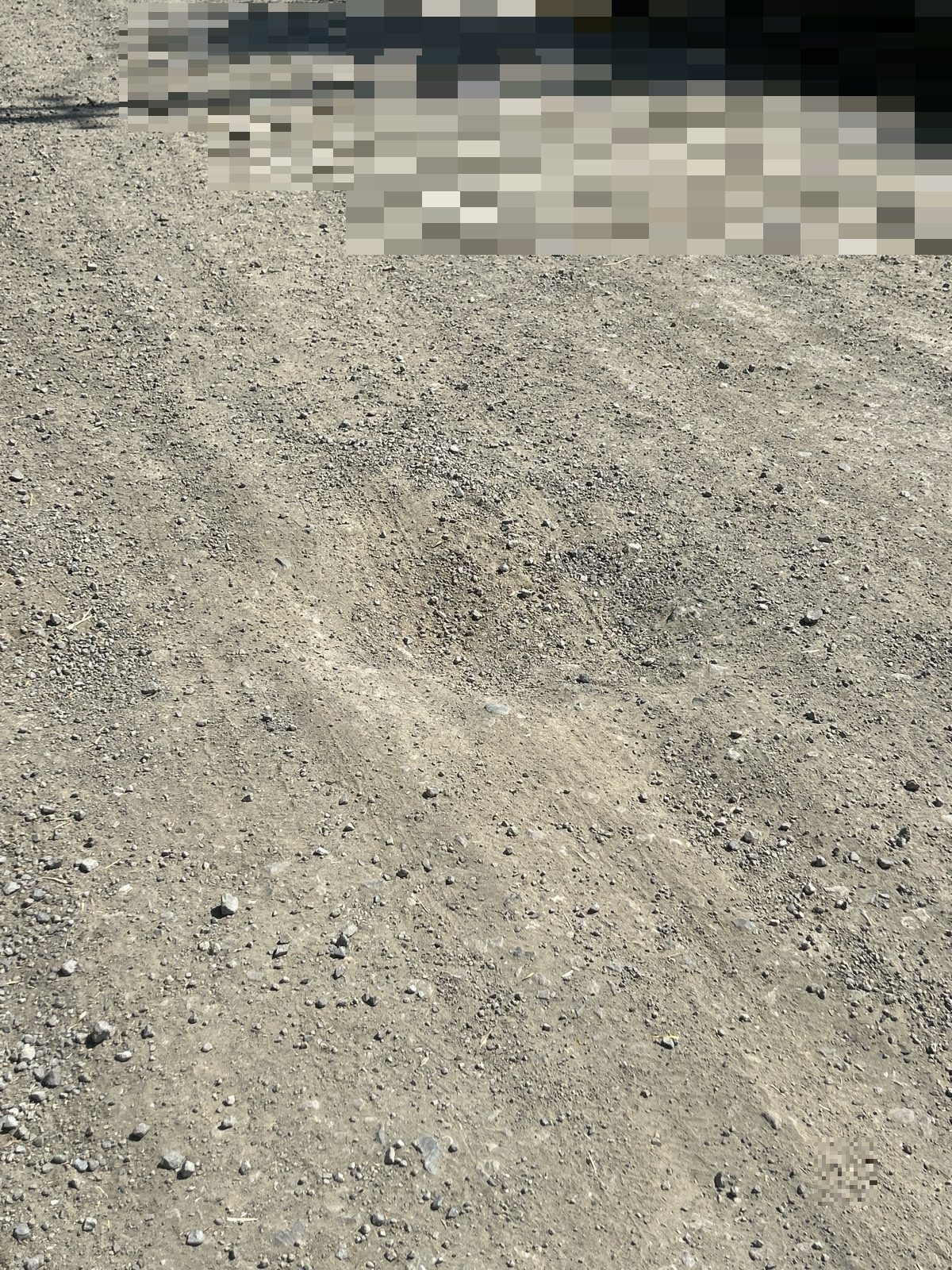Yollar bakımsız - görsel 2