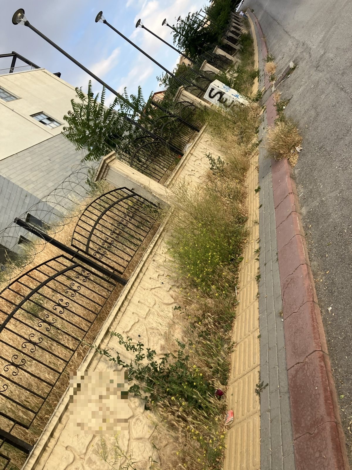 Kaldırımdaki otlardan yürünmüyor