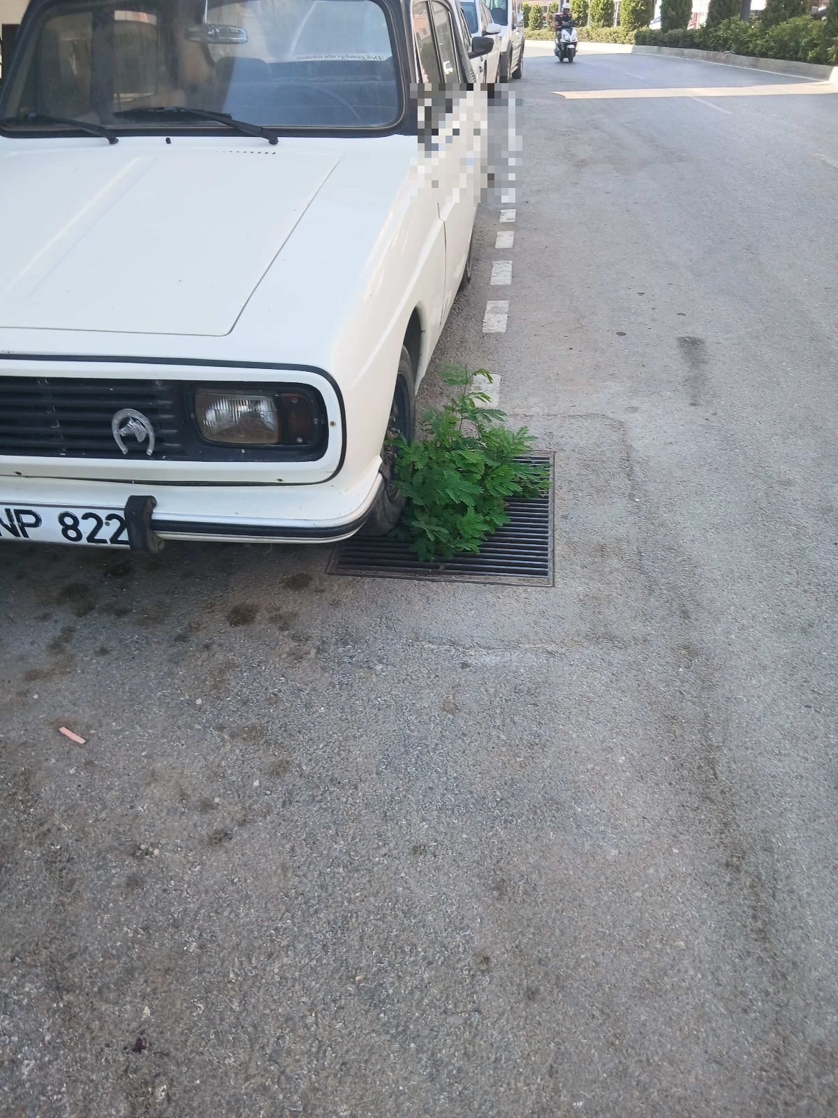 Mazgal içi otlanma, temizlik talebi ve ASAT saha kontrol durumu