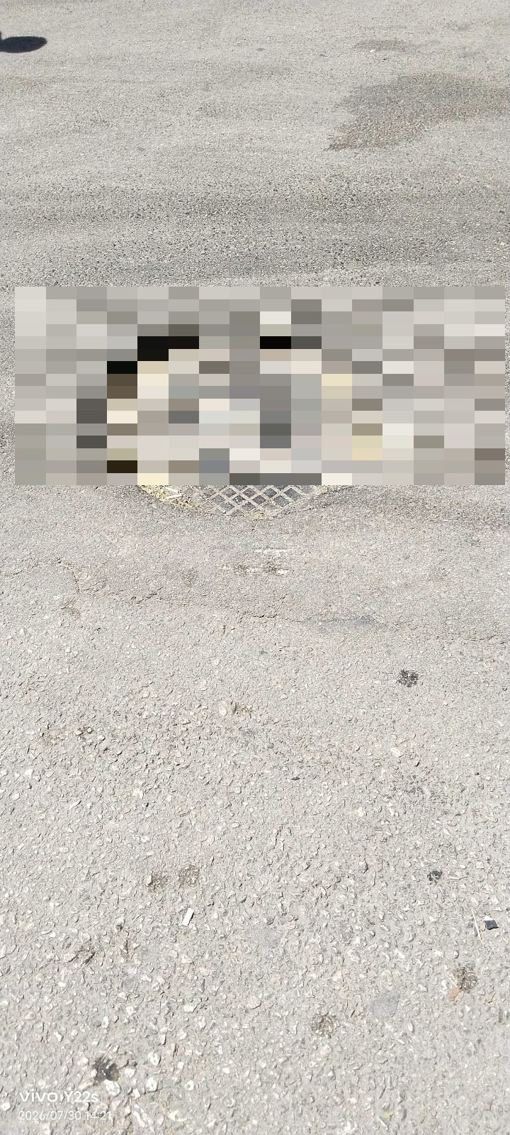 yolun altinda kalan logar kapagi - görsel 2