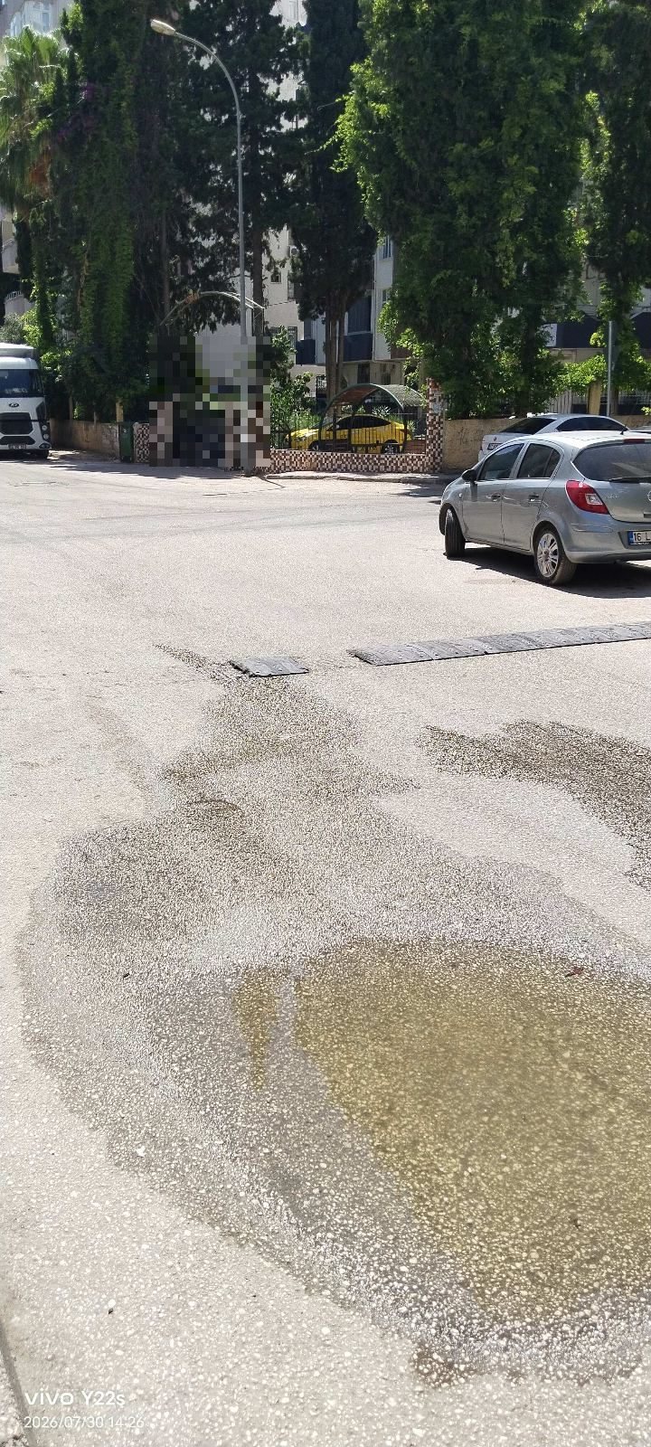 Parcalari kopmus kasis - görsel 1