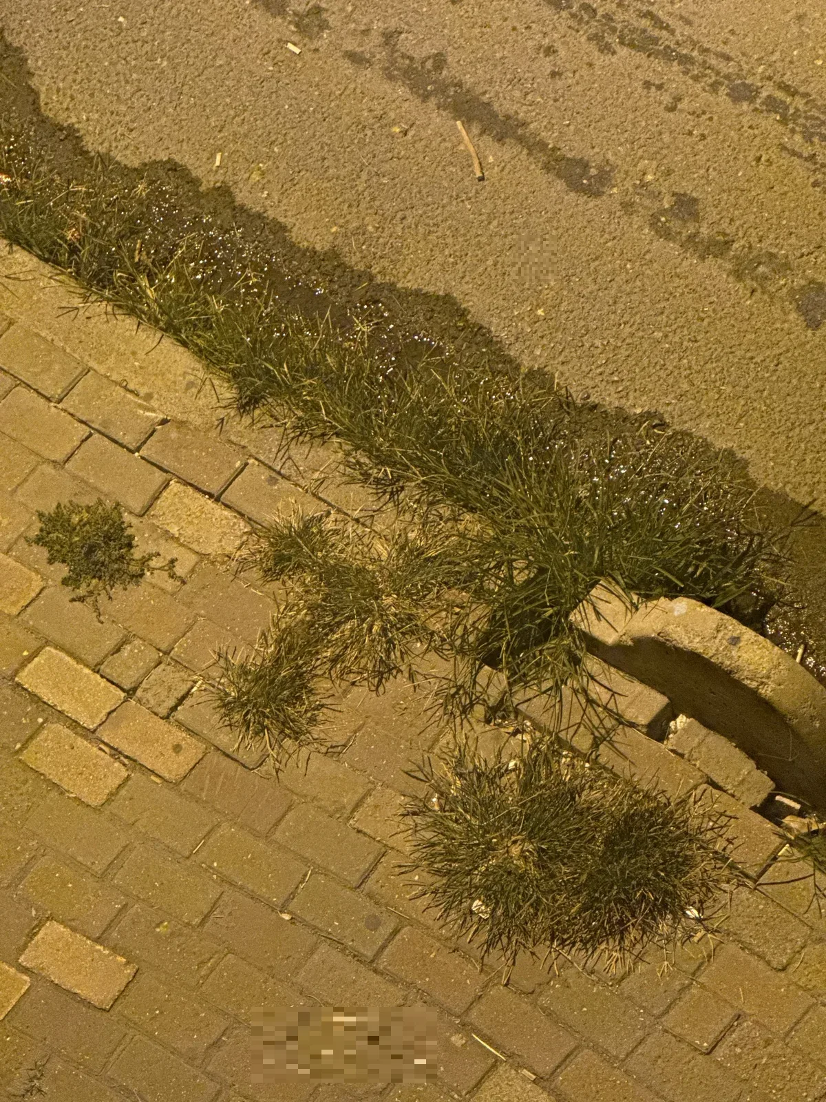 Lütfen bu mahaleyı artık temızleyın Bağcılar beledıyesı