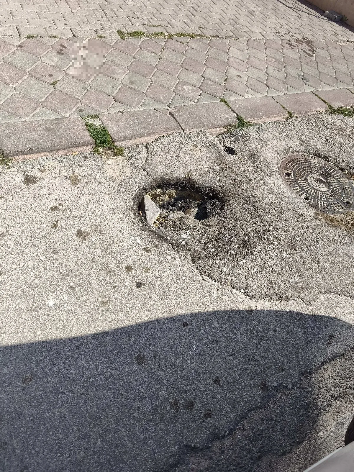 YOL GÖÇÜGÜ