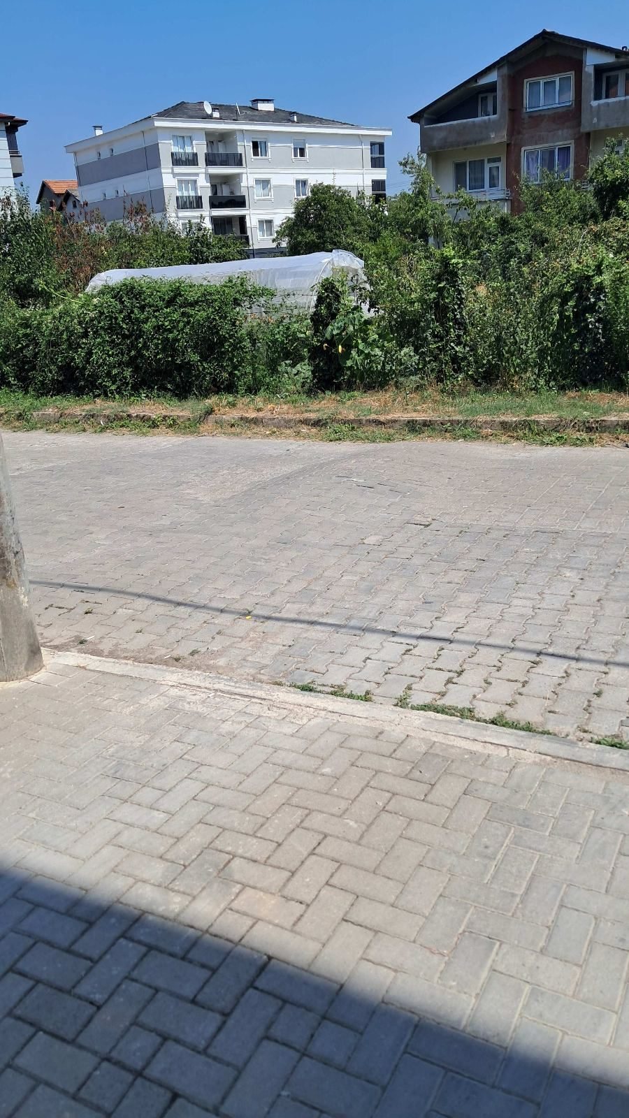 Yanlış kasis