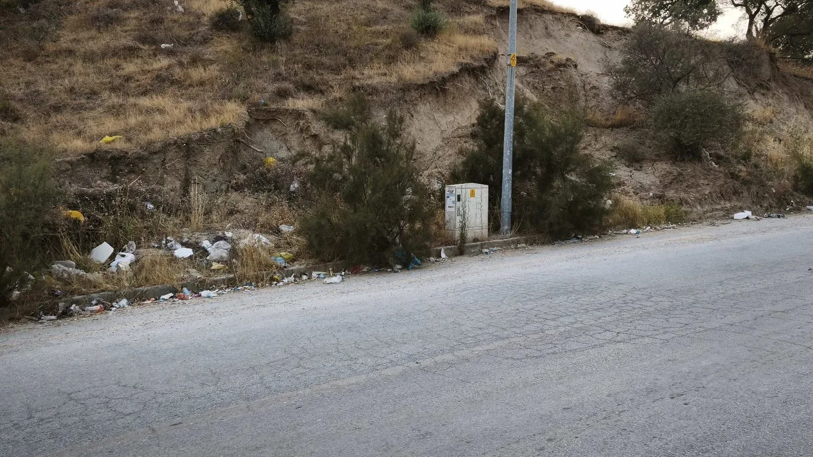 Çöpler ve yabani otlar