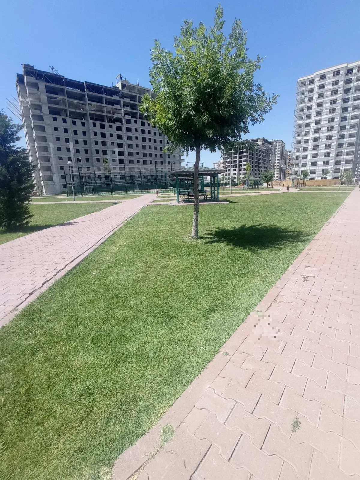 İyi çim