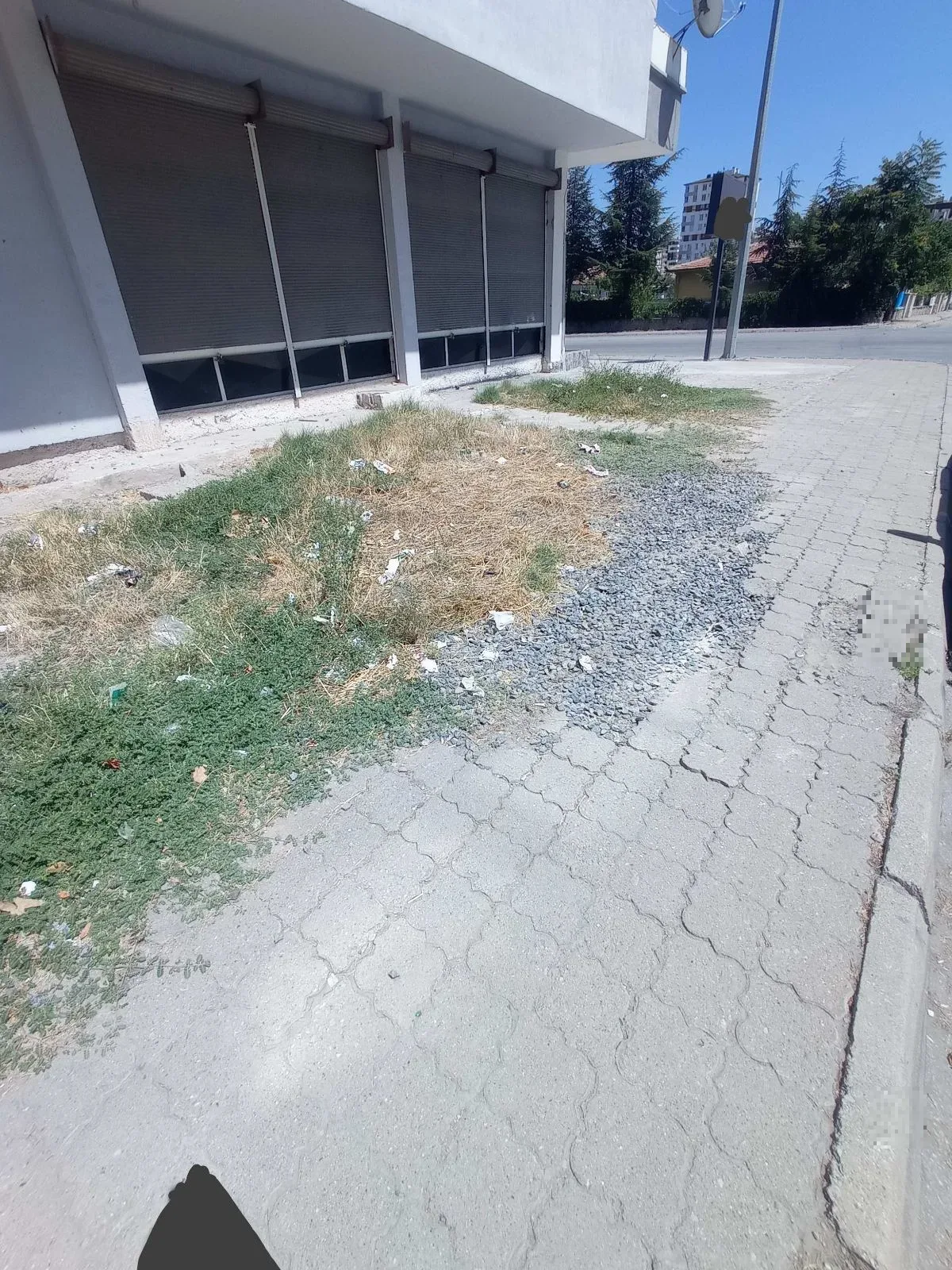 Çakıl taşları kaldırıma taşmış.