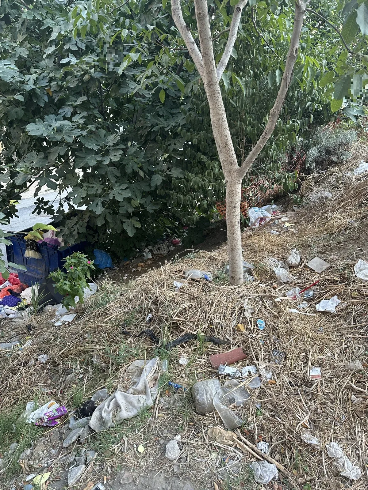 Çöp konteyneri çevresinin çöplüğe dönüşmesi - görsel 1