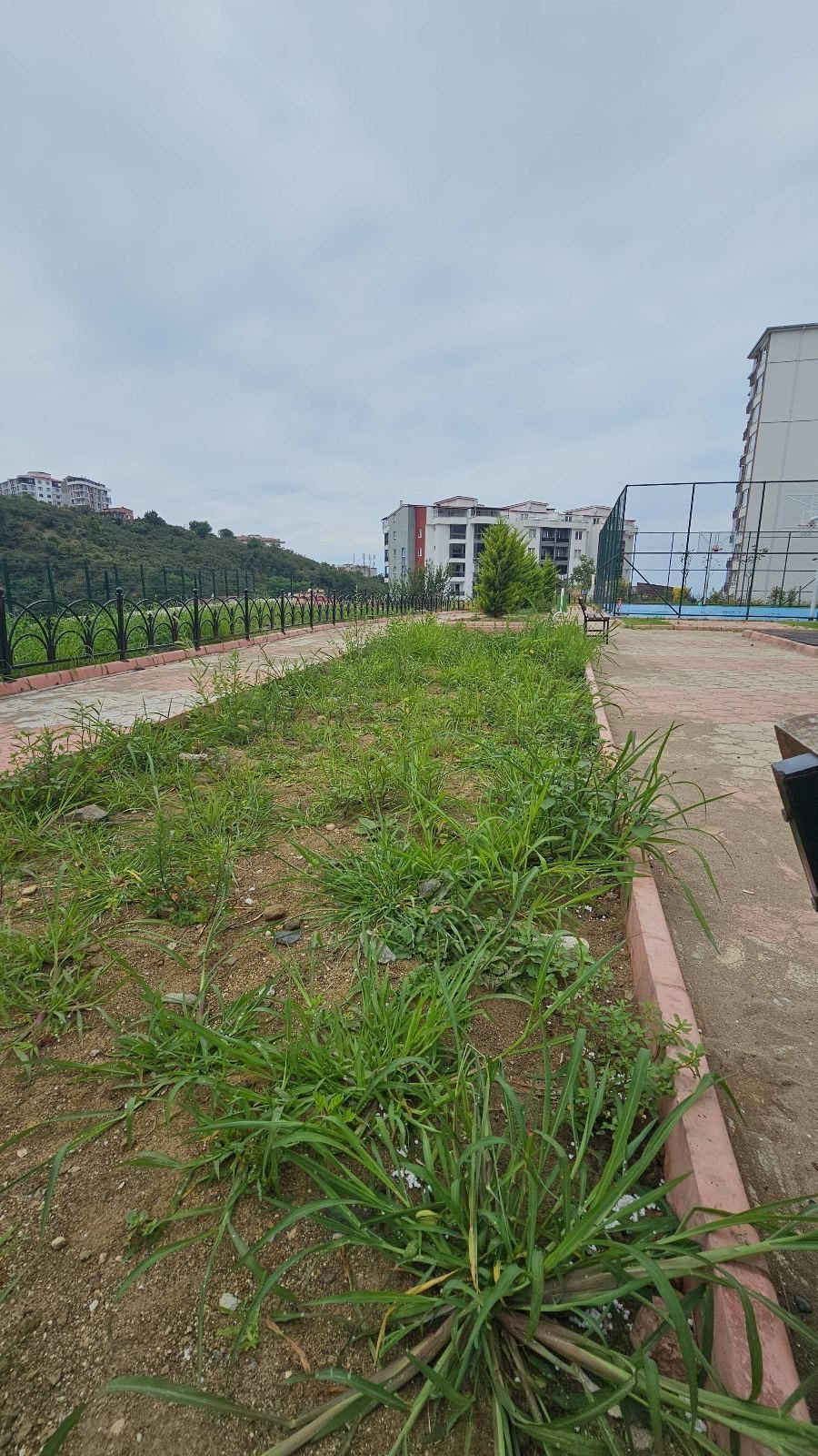 İsimsiz Park Temizlik ve Bakımının Yapılmaması