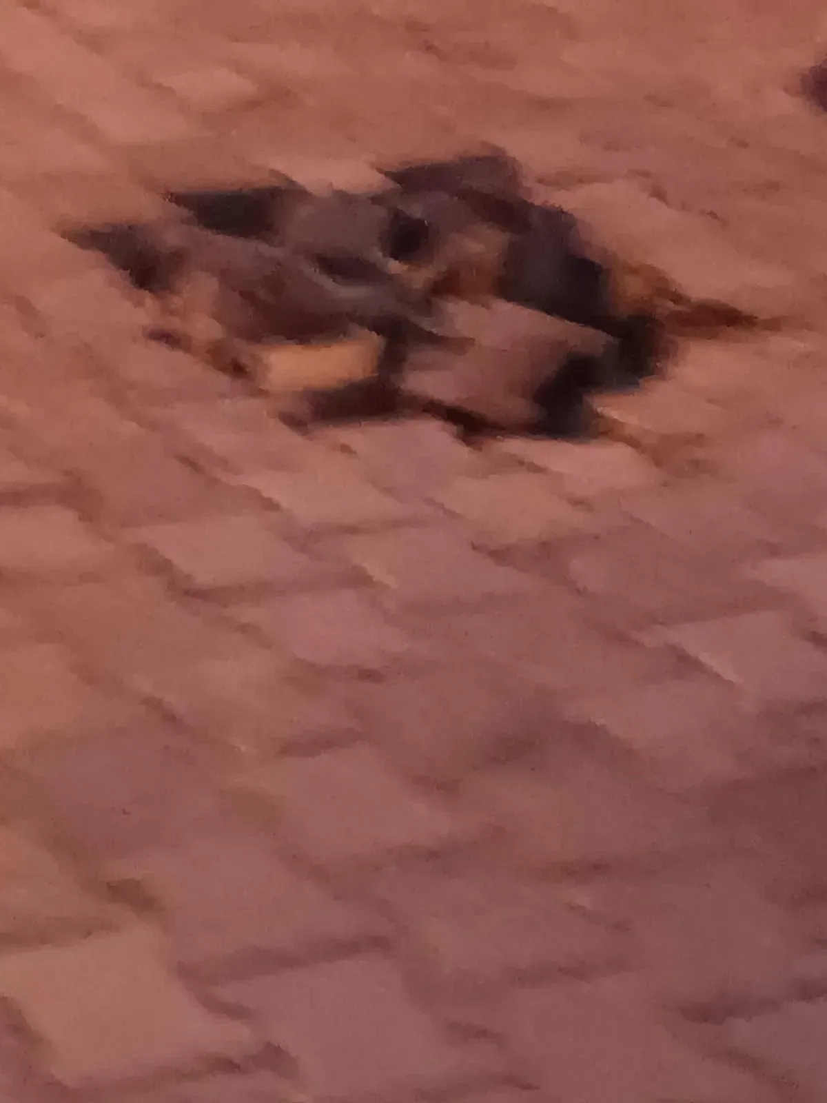 Çukur oluşması