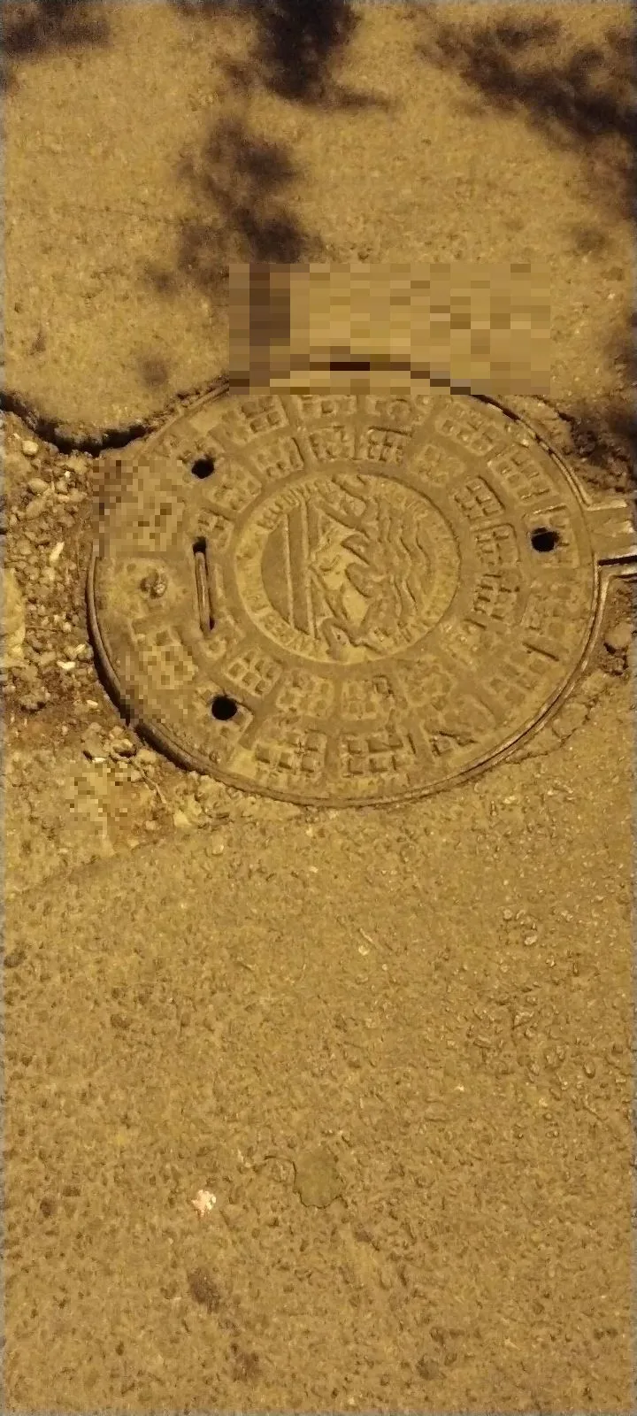 Kaski Rögar Kapağı