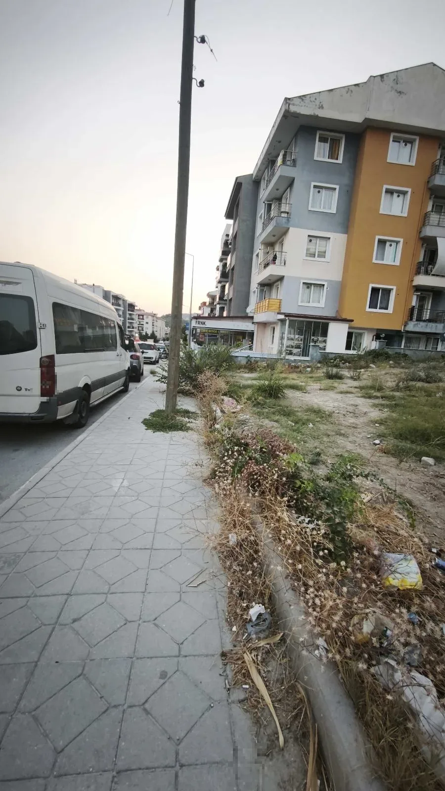 Yabani ot ve kaldırım düzeni - görsel 2