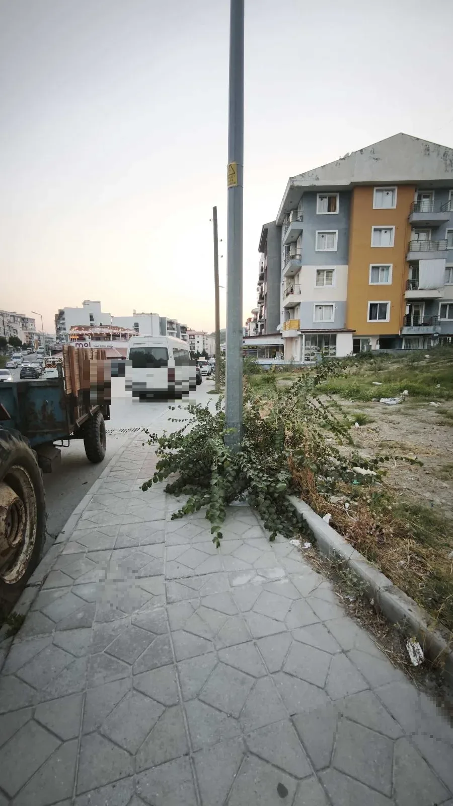 Yabani ot ve kaldırım düzeni