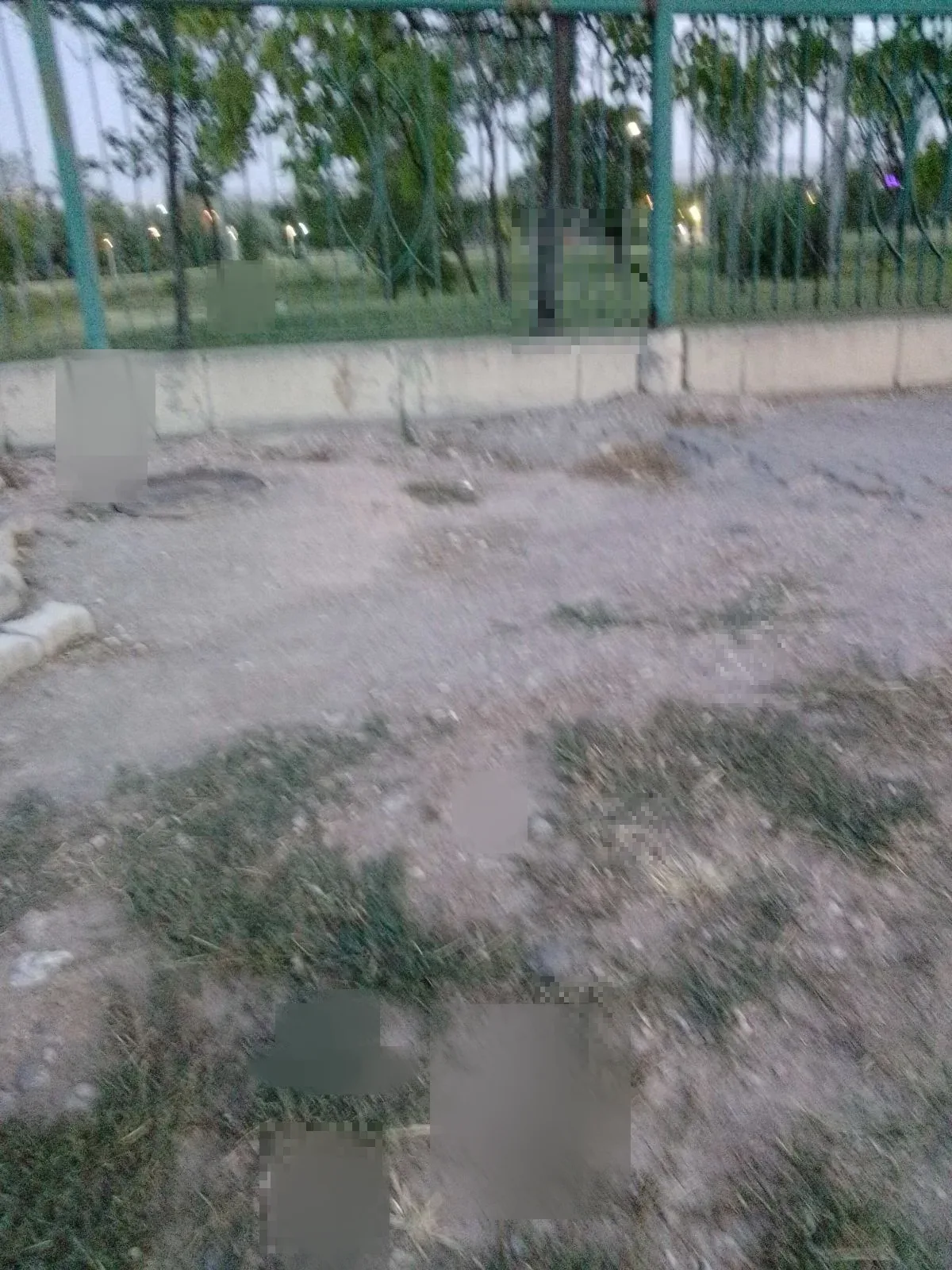 Harikalar diyarında kaldirimlar