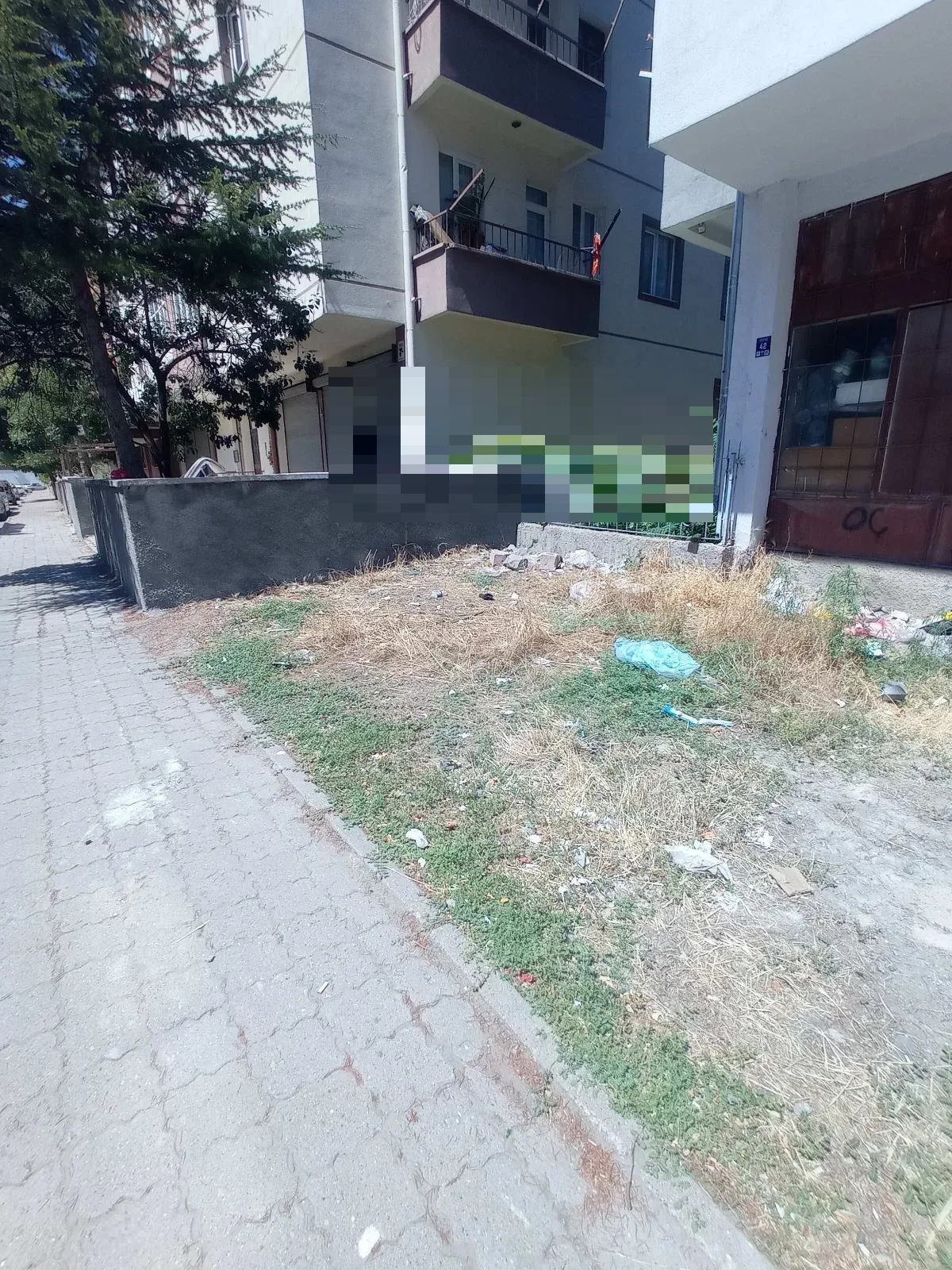 Çakıl taşları kaldırıma taşmış. - görsel 2