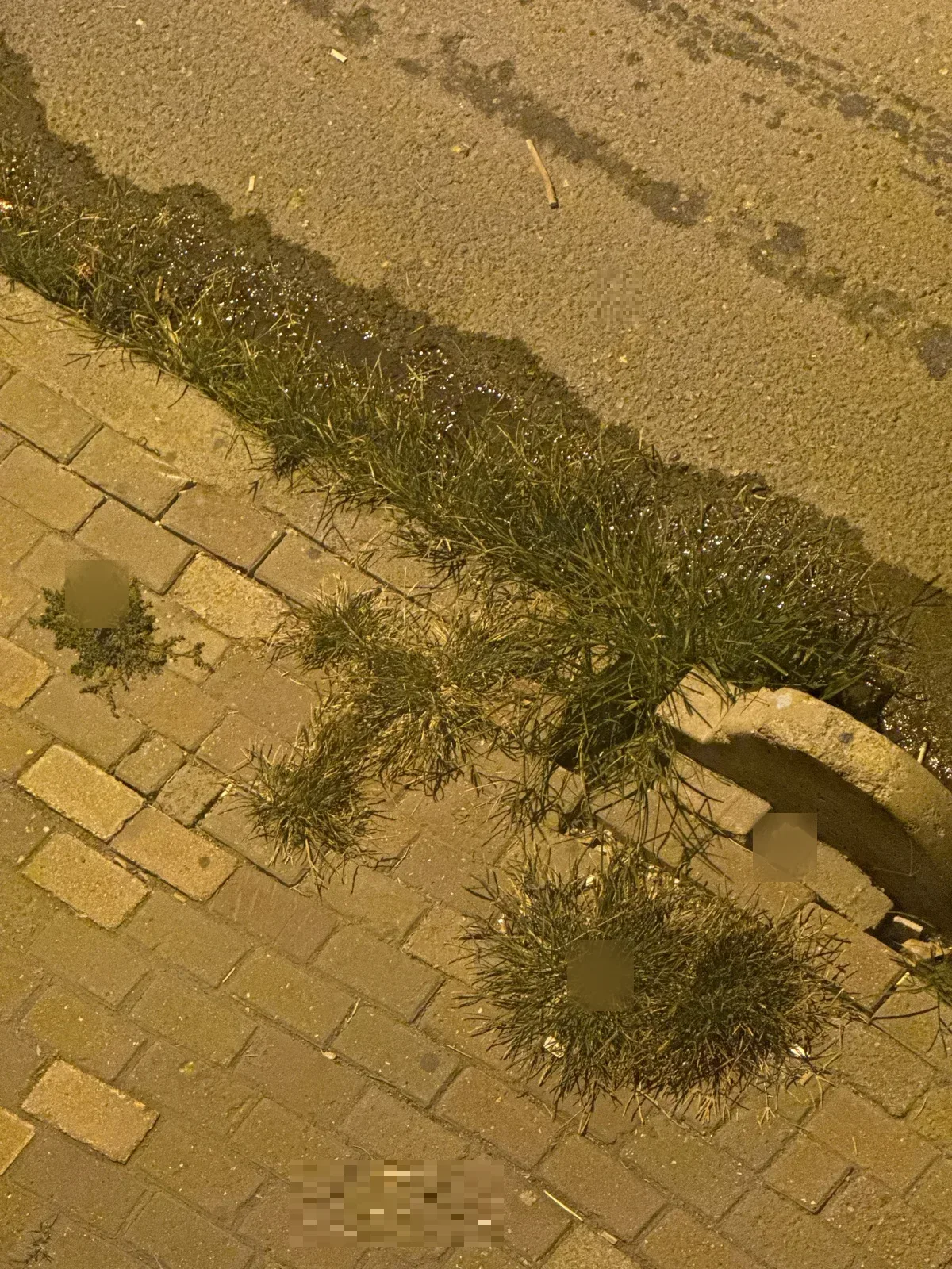 Lütfen bu mahaleyı artık temızleyın Bağcılar beledıyesı - görsel 1