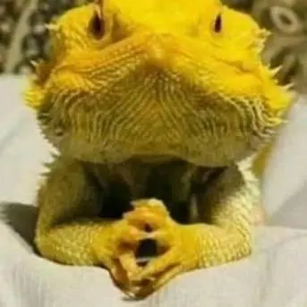 eminok profil fotoğrafı