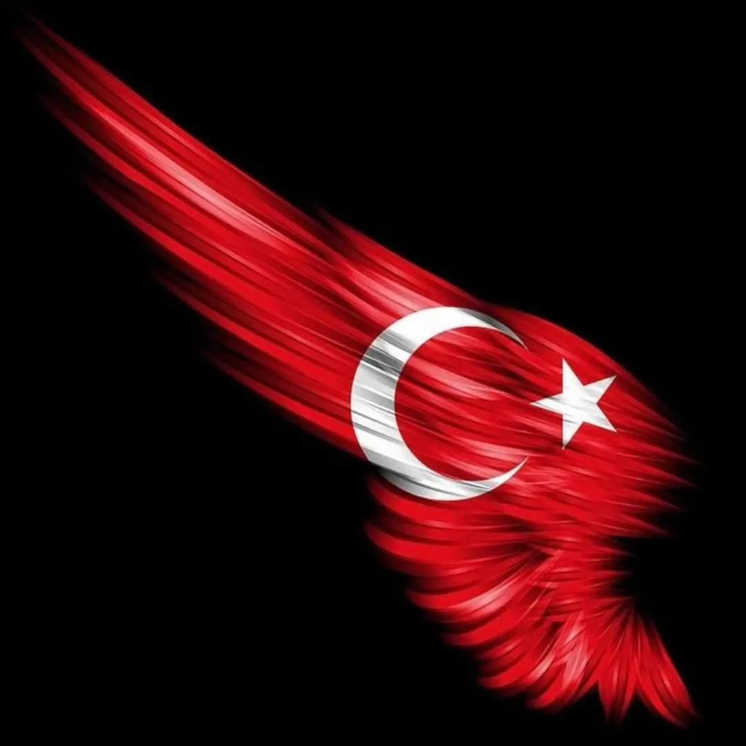 torunlar6 profil fotoğrafı